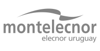 elecnor_group.logo montelecnor-gray.png 