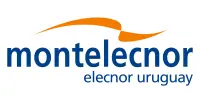 Logo Elecnor Uruguay